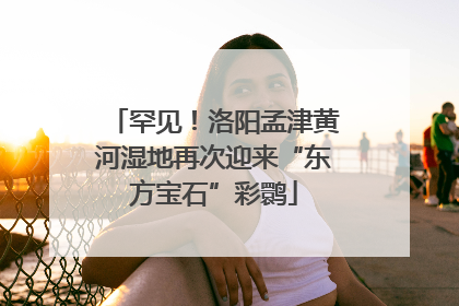 罕见！洛阳孟津黄河湿地再次迎来“东方宝石”彩鹮