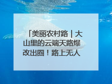 美丽农村路｜大山里的云端天路爆改出圈！路上无人机送外卖，空心村变网红村