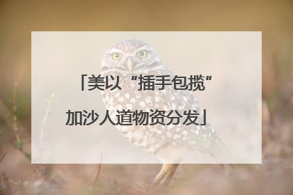 美以“插手包揽”加沙人道物资分发