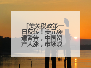 美关税政策一日反转！美元突遭警告，中国资产大涨，市场嗅到危险气息→