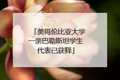 美哥伦比亚大学一亲巴勒斯坦学生代表已获释