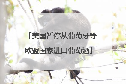 美国暂停从葡萄牙等欧盟国家进口葡萄酒