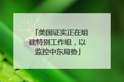 美国证实正在组建特别工作组，以监控中东局势