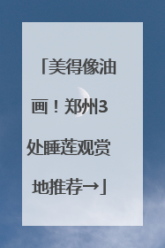 美得像油画！郑州3处睡莲观赏地推荐→