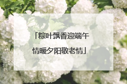 粽叶飘香迎端午 情暖夕阳敬老情