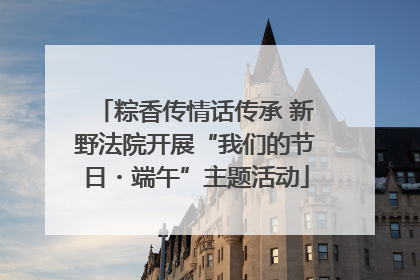 粽香传情话传承 新野法院开展“我们的节日・端午”主题活动