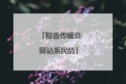 粽香传暖意 驿站系民情