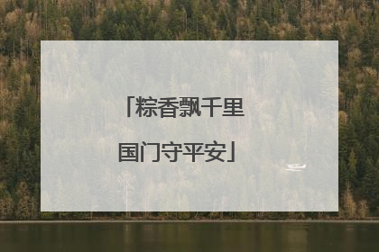 粽香飘千里 国门守平安