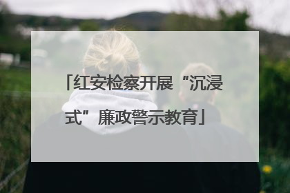 红安检察开展“沉浸式”廉政警示教育