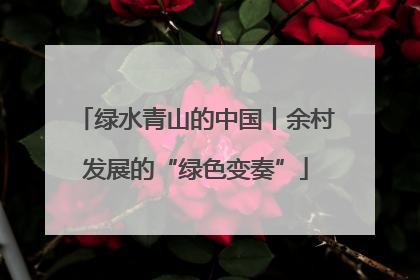 绿水青山的中国丨余村发展的“绿色变奏”