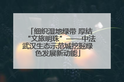 细织湿地绿带 厚结“文旅明珠”——中法武汉生态示范城挖掘绿色发展新动能