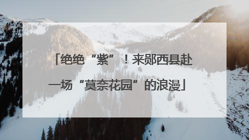 绝绝“紫”！来郧西县赴一场“莫奈花园”的浪漫
