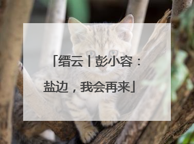 缙云丨彭小容：盐边，我会再来