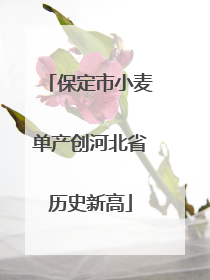 保定市小麦单产创河北省历史新高