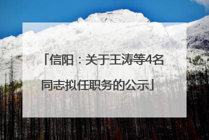 信阳：关于王涛等4名同志拟任职务的公示