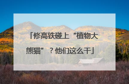 修高铁碰上“植物大熊猫”？他们这么干