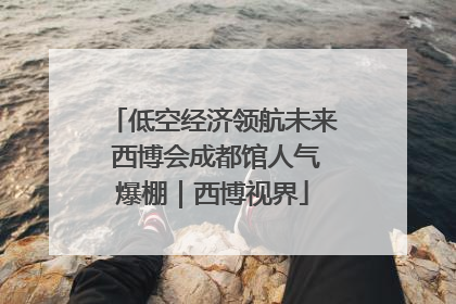 低空经济领航未来 西博会成都馆人气爆棚｜西博视界