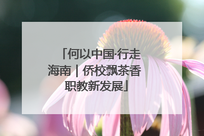 何以中国·行走海南｜侨校飘茶香 职教新发展