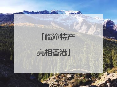 临潼特产亮相香港