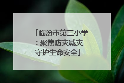 临汾市第三小学：聚焦防灾减灾 守护生命安全