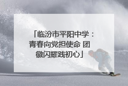 临汾市平阳中学：青春向党担使命 团徽闪耀践初心