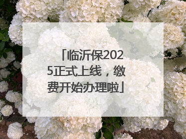 临沂保2025正式上线，缴费开始办理啦