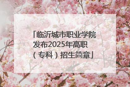 临沂城市职业学院发布2025年高职（专科）招生简章
