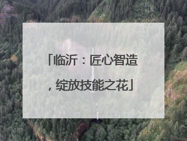 临沂：匠心智造，绽放技能之花