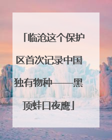 临沧这个保护区首次记录中国独有物种——黑顶蛙口夜鹰