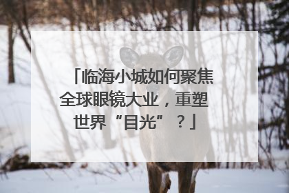 临海小城如何聚焦全球眼镜大业，重塑世界“目光”？