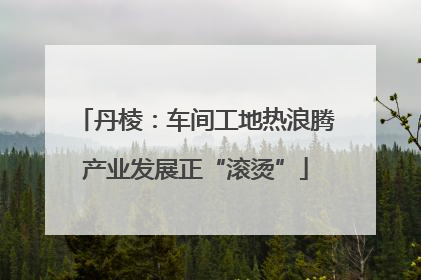 丹棱：车间工地热浪腾产业发展正“滚烫”