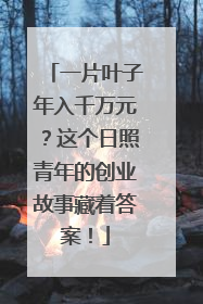一片叶子年入千万元？这个日照青年的创业故事藏着答案！