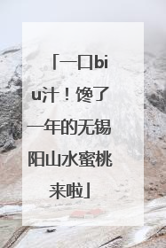 一口biu汁！馋了一年的无锡阳山水蜜桃来啦