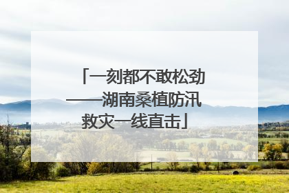 一刻都不敢松劲——湖南桑植防汛救灾一线直击