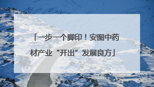 一步一个脚印！安图中药材产业“开出”发展良方