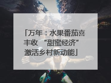 万年：水果番茄喜丰收 “甜蜜经济”激活乡村新动能