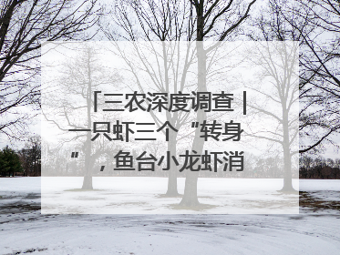 三农深度调查｜一只虾三个“转身”，鱼台小龙虾消费季升级