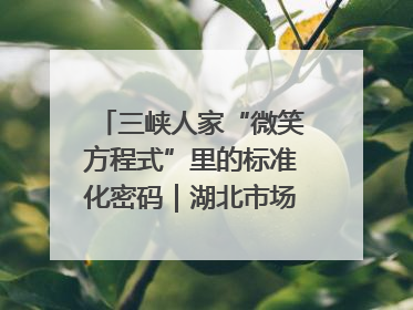 三峡人家“微笑方程式”里的标准化密码｜湖北市场监管所的故事