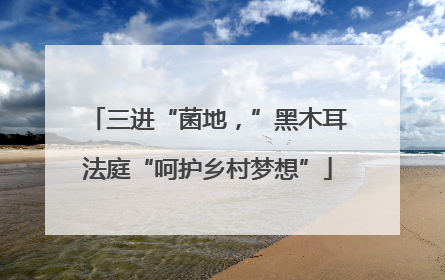 三进“菌地，”黑木耳法庭“呵护乡村梦想”