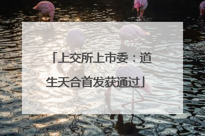 上交所上市委：道生天合首发获通过