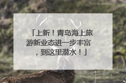 上新！青岛海上旅游新业态进一步丰富，到这里潜水！