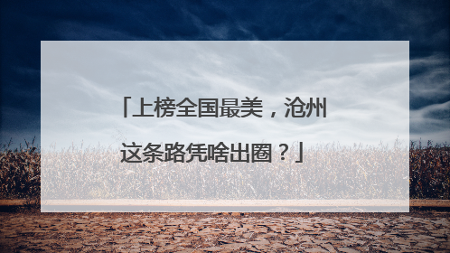 上榜全国最美，沧州这条路凭啥出圈？