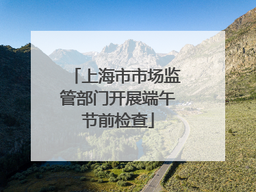 上海市市场监管部门开展端午节前检查