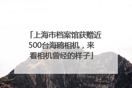 上海市档案馆获赠近500台海鸥相机，来看相机曾经的样子