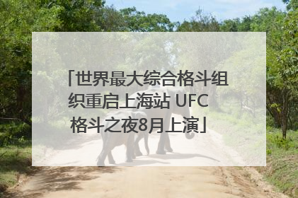 世界最大综合格斗组织重启上海站 UFC格斗之夜8月上演
