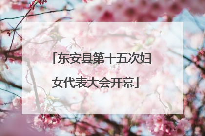 东安县第十五次妇女代表大会开幕
