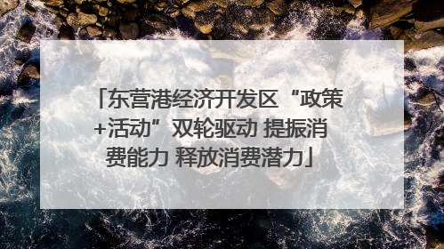 东营港经济开发区“政策+活动”双轮驱动 提振消费能力 释放消费潜力