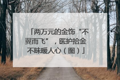 两万元的金饰“不翼而飞”，医护拾金不昧暖人心（图）