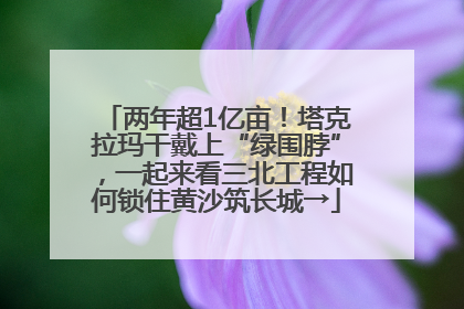 两年超1亿亩！塔克拉玛干戴上“绿围脖”，一起来看三北工程如何锁住黄沙筑长城→