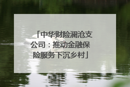 中华财险澜沧支公司：推动金融保险服务下沉乡村